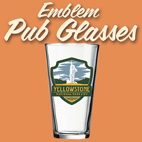 Emblem Pub Glasses