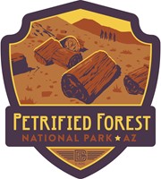 Petrified Forest