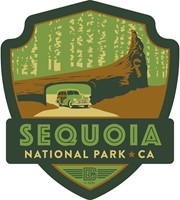 Sequoia