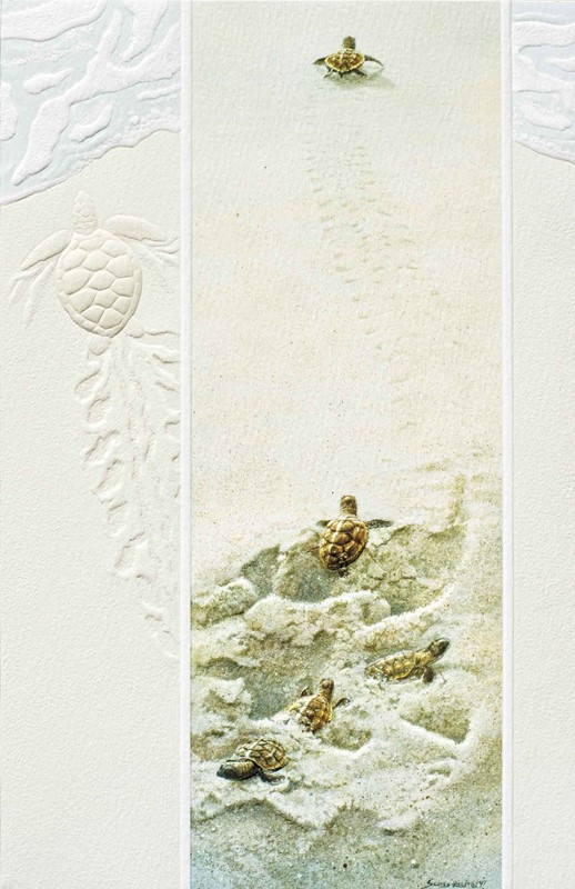Finding the Way | Sea turtle greeting cards