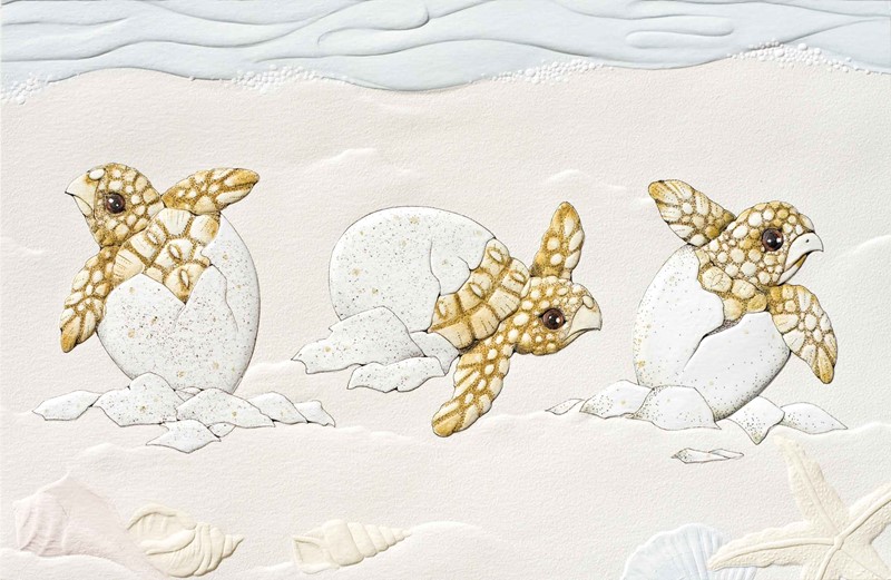 Turtle Time | Turtle birthday greeting cards