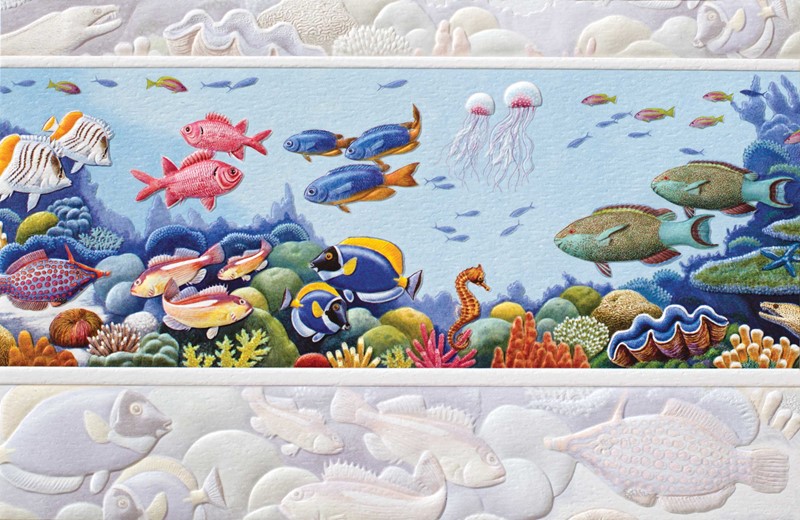 Reef Life | Birthday greeting cards