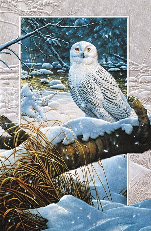 Snowy Owl | Wildlife themed boxed Christmas cards
