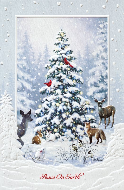 Woodland Christmas | Wildlife themed boxed Christmas cards