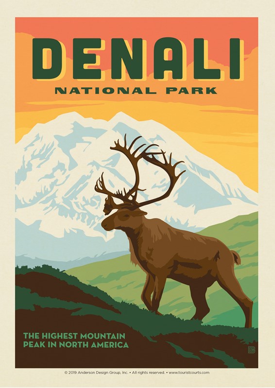 Denali Caribou | Postcard