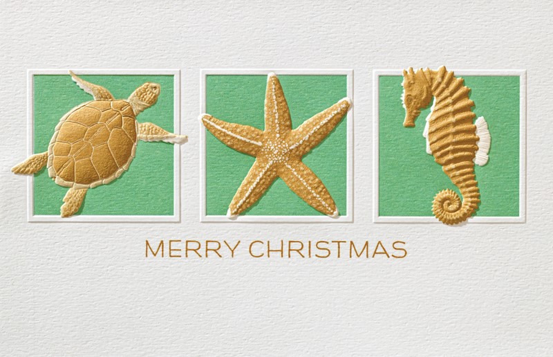 Coastal Trio | Made in the USA