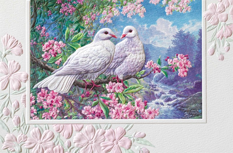 Symbol of Peace (WDIN) | Wedding themed greeting cards