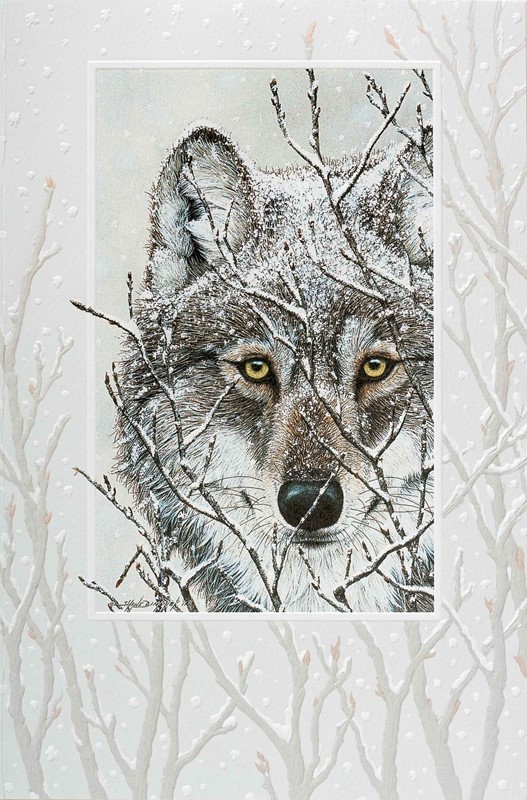 Snowy Watch | Blank Greeting Cards