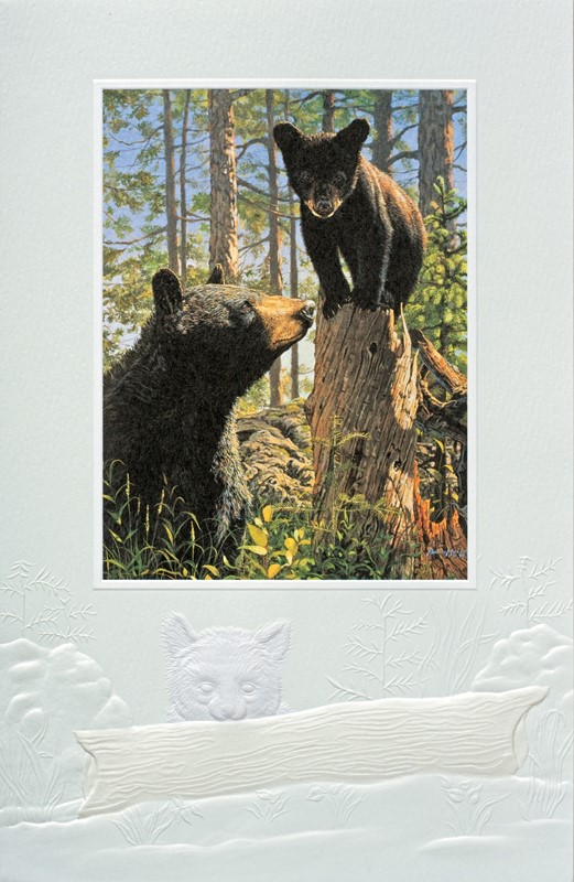 Stump Jumper | Black bear birthday cards
