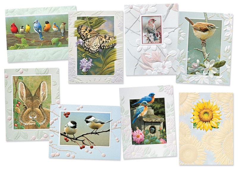 Inspirational Bird & Backyard Petite Card Assortment | Everyday Assortment