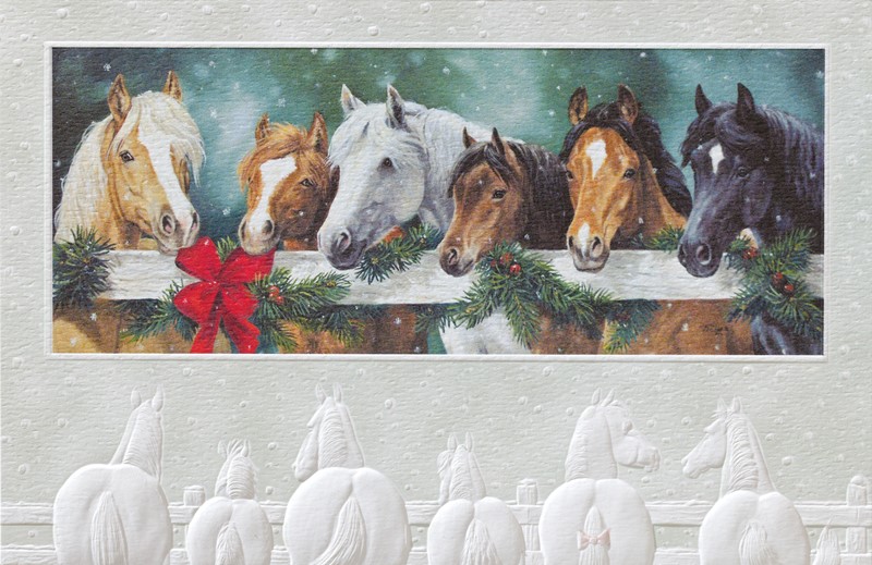 Stable Buddies | Farm themed boxed Christmas cards