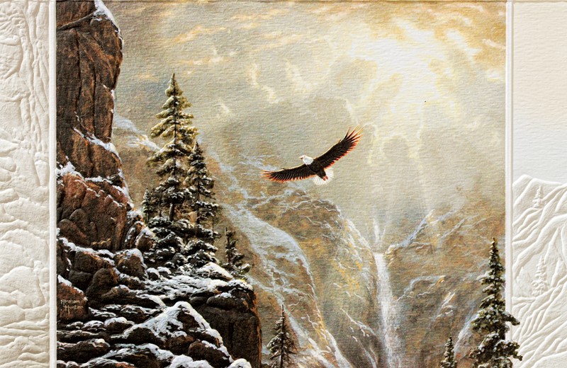 Soaring High | Wildlife themed boxed Christmas cards