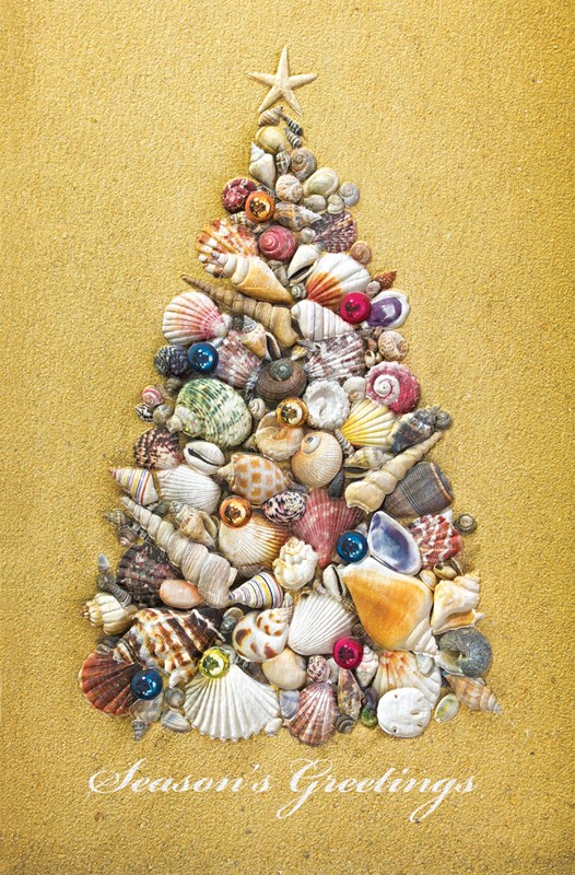 Coastal Charm | Palm tree boxed Christmas cards