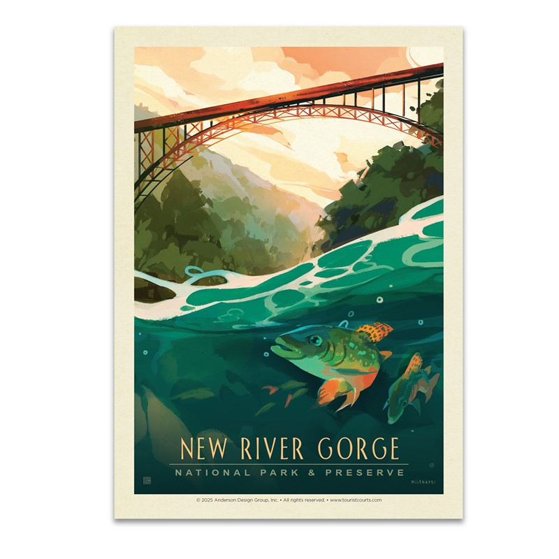 New River Gorge National Park & Preserve Fish-Eye View Postcard | USA Made