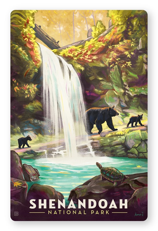 Shenandoah Waterfall Magnetic Postcard | themed magnet postcard