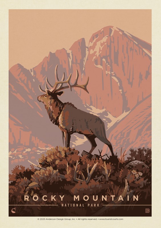 Rocky Mountain NP Lone Elk Postcard | USA Made