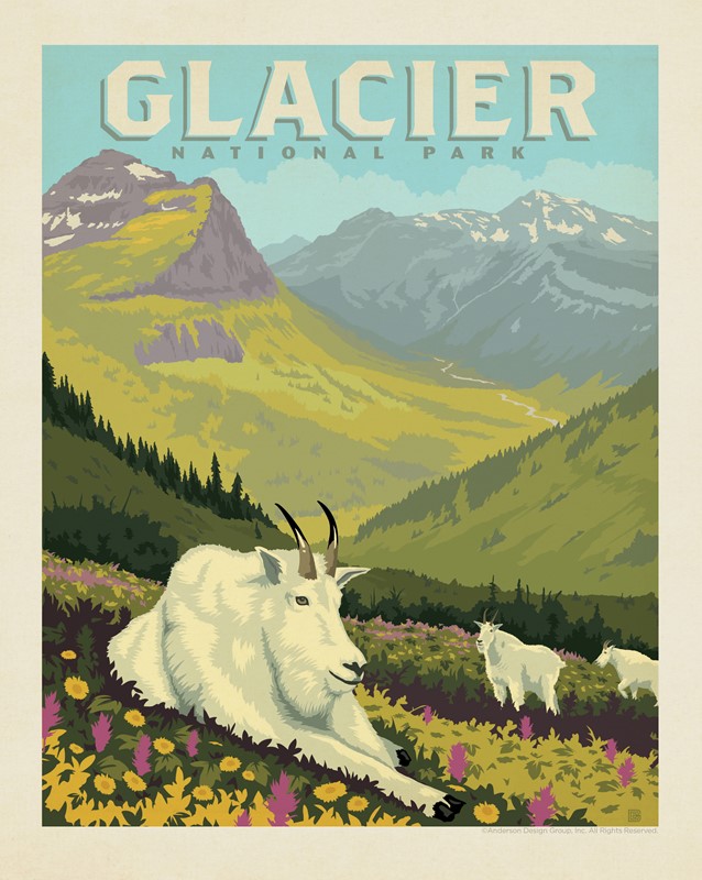 Glacier NP Goats in the Valley 8" x 10" Print | 8" x10" Print