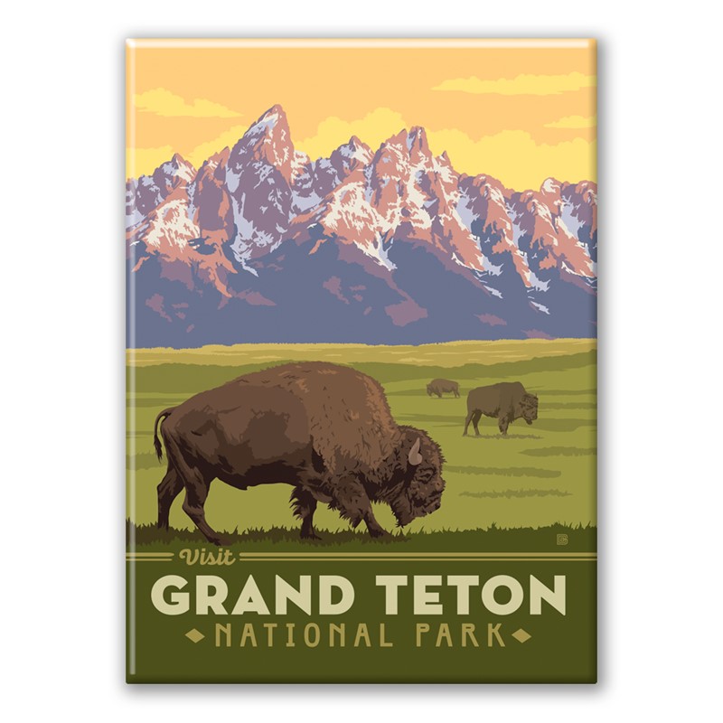 Grand Teton NP Bisons Magnet | Metal Magnet