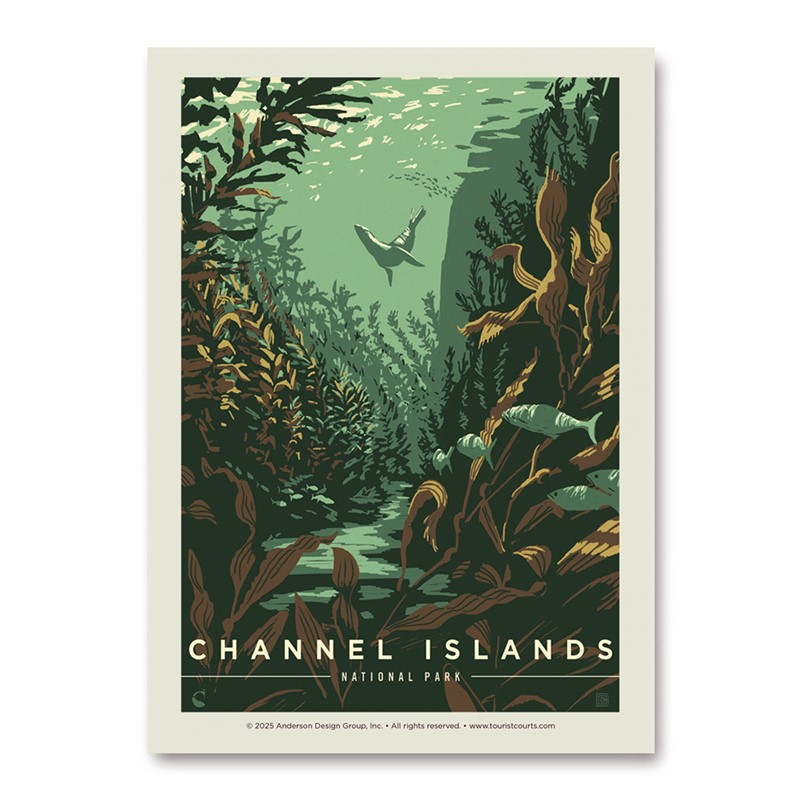 Channel Island NP Sea Lion Vert Sticker | American Made