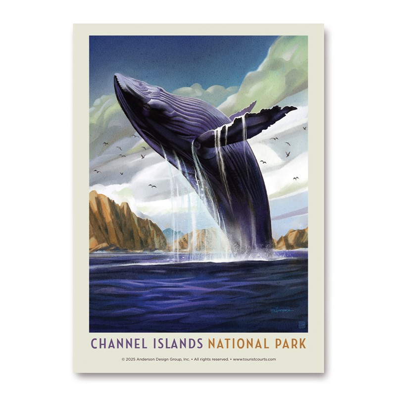 Channel Island NP Breaching Whale Vert Sticker | American Made
