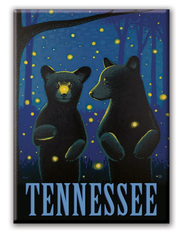 TN Night Sky Cubs Magnet | Metal Magnet