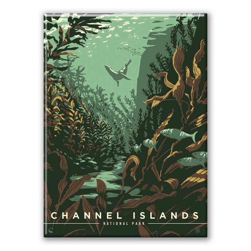 Channel Islands NP Sea Lions Magnet| American Made Magnet