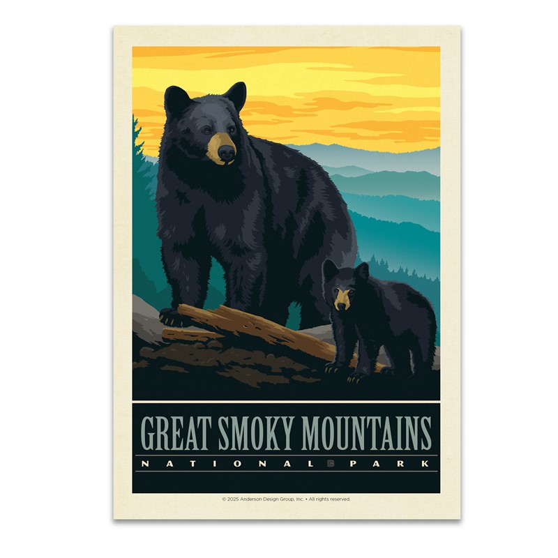 Great Smoky Mountains NP Black Bears | Postcard