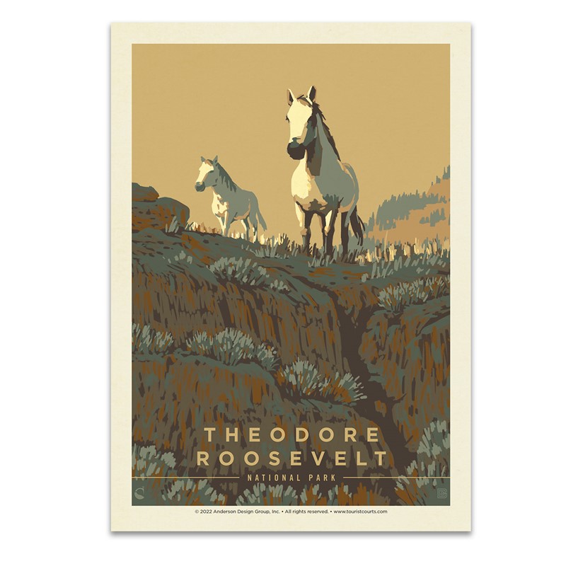 Theodore Roosevelt NP Horseplay | Postcard