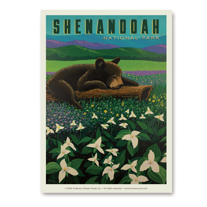 Shenandoah National Park Wildflower Cub Vertical Sticker| Made in USA