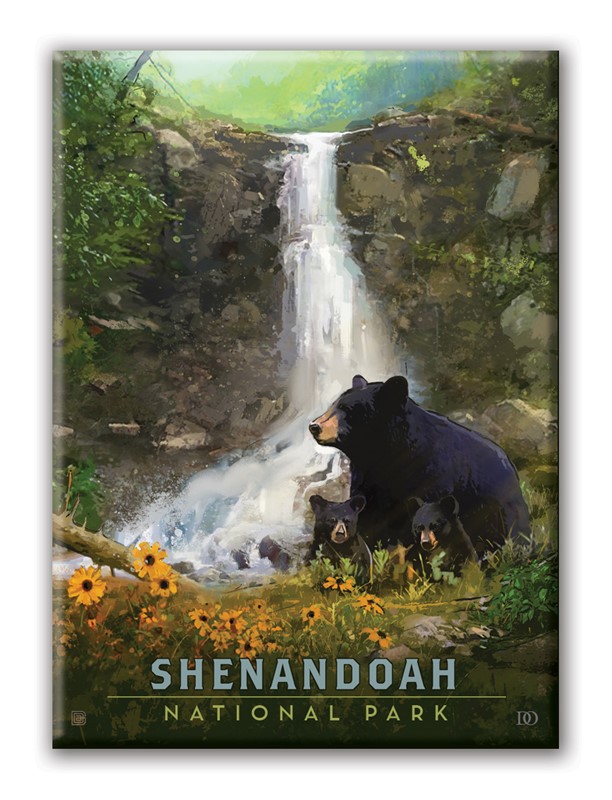 Shenandoah NP Bear Family | Metal Magnet