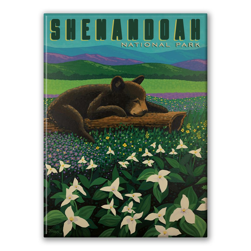 Shenandoah NP Wildflower Cub | Metal Magnet