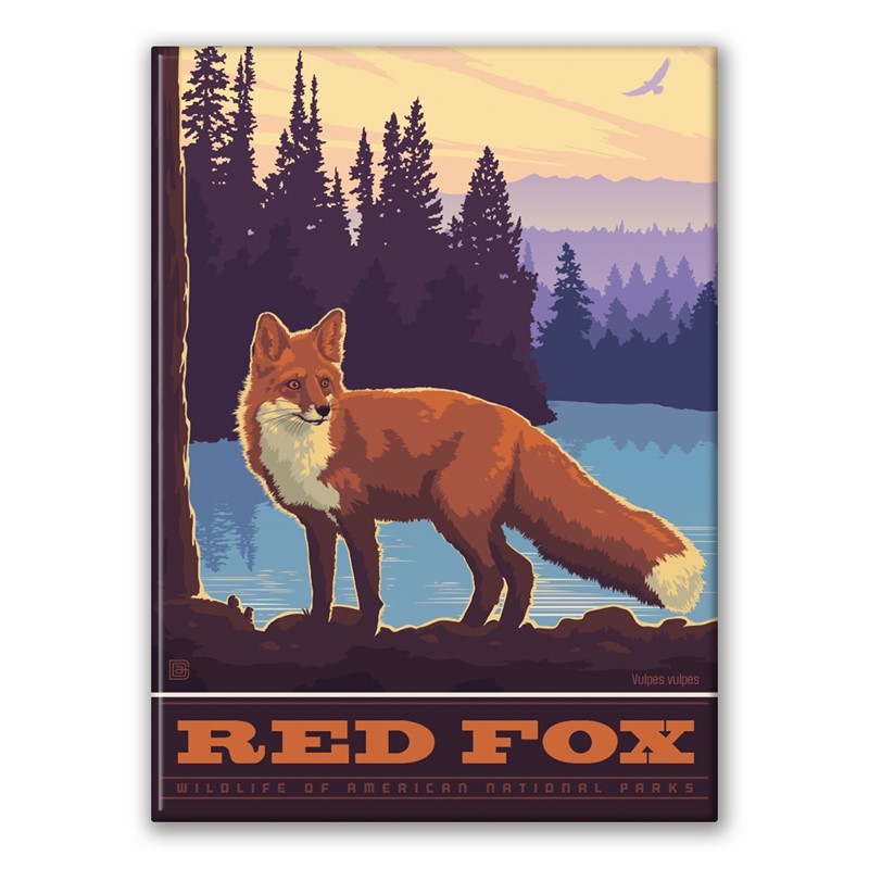 Red Fox Magnet| Made in the USA