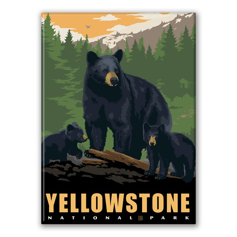 Yellowstone NP Black Bear Family Magnet | Made in the USA