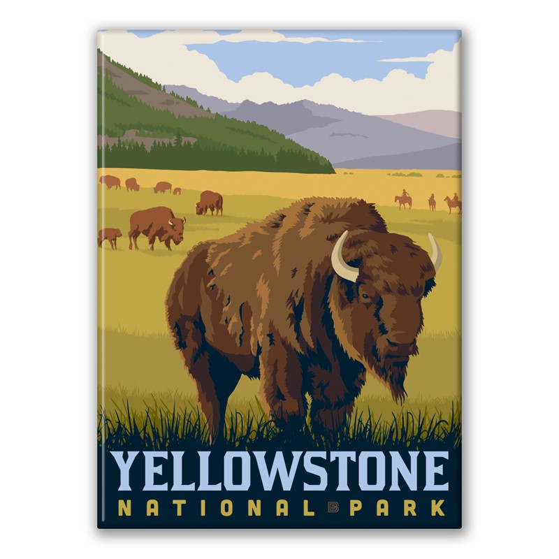 Yellowstone NP Bison Field Magnet| Made in the USA
