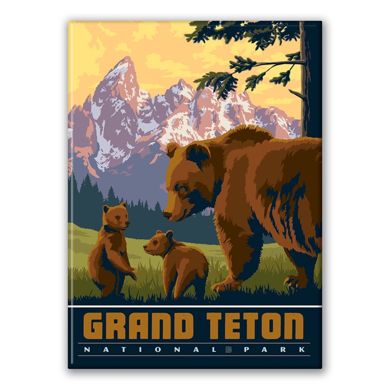 Grand Teton NP Wildlife Bears Magnet| American Made Magnet