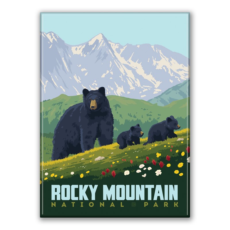 Rocky Mountain NP Black Bears Magnet  American Made Magnet