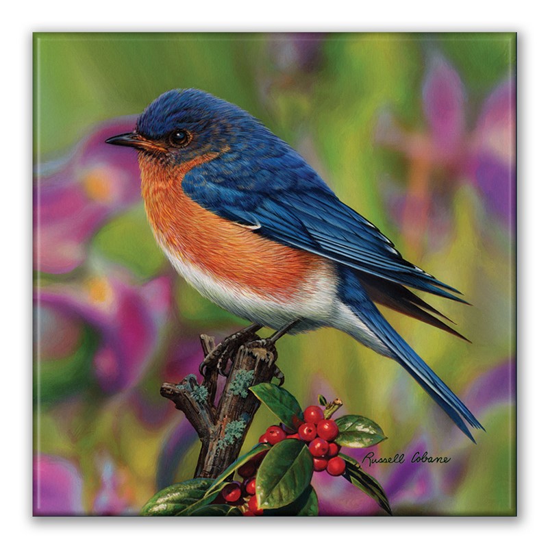 Berry Blue Square Magnet| American Made