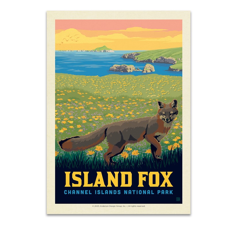 Channel Islands NP Island Fox Postcard | American Made