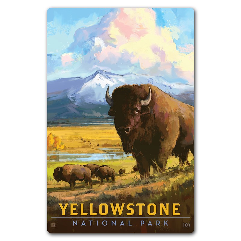 Yellowstone NP American Bison Magnetic Postcard| Themed Magnet Postcard