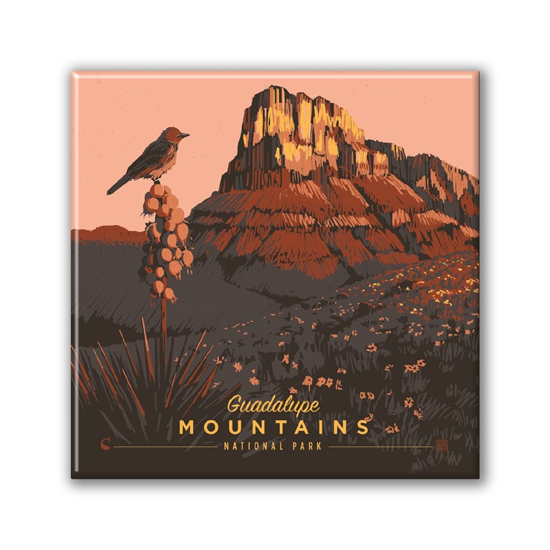Guadalupe Mountains NP Early Bird Square Magnet | Metal Magnet