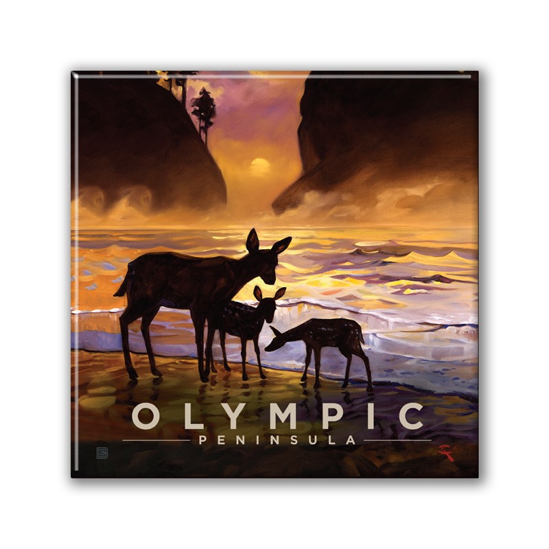 Olympic NP Magical Moment Square Magnet| Metal Magnet