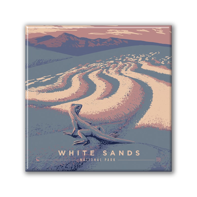 White Sands NP Drifting Dunes Square Magnet| Metal Magnet