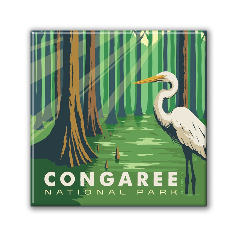 Congaree NP Great Egret Square Magnet|Metal Magnet