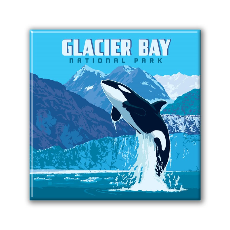 Glacier Bay NP Leaping Orca Square Magnet|Metal Magnet
