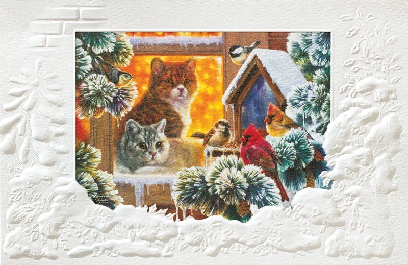 Fascinated | Cat & Dog boxed Christmas cards