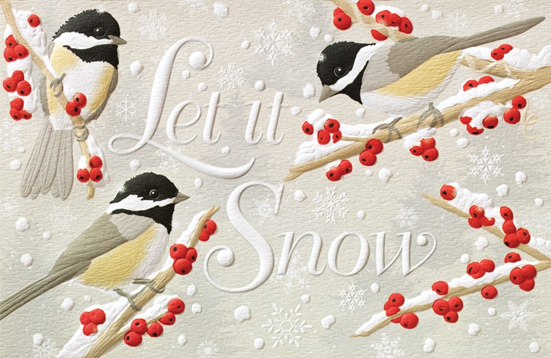 Let It Snow | Bird themed boxed Christmas cards
