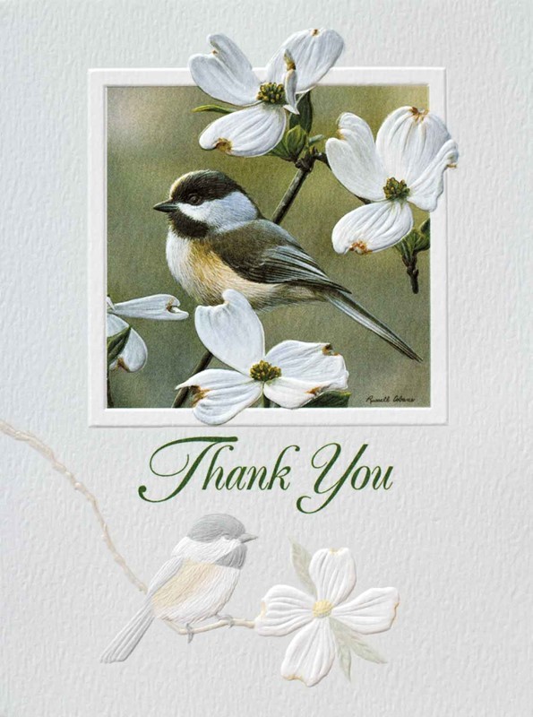 Springtime Chickadee | Boxed notecards