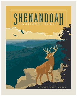 Shenandoah Buck Overlook 8"x10" Print