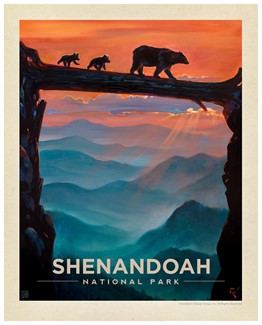 Shenandoah Bear Crossing  Print | American Made