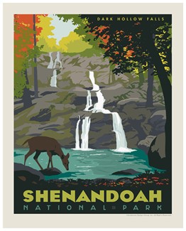 Shenandoah Dark Hollow Falls Print | American Made